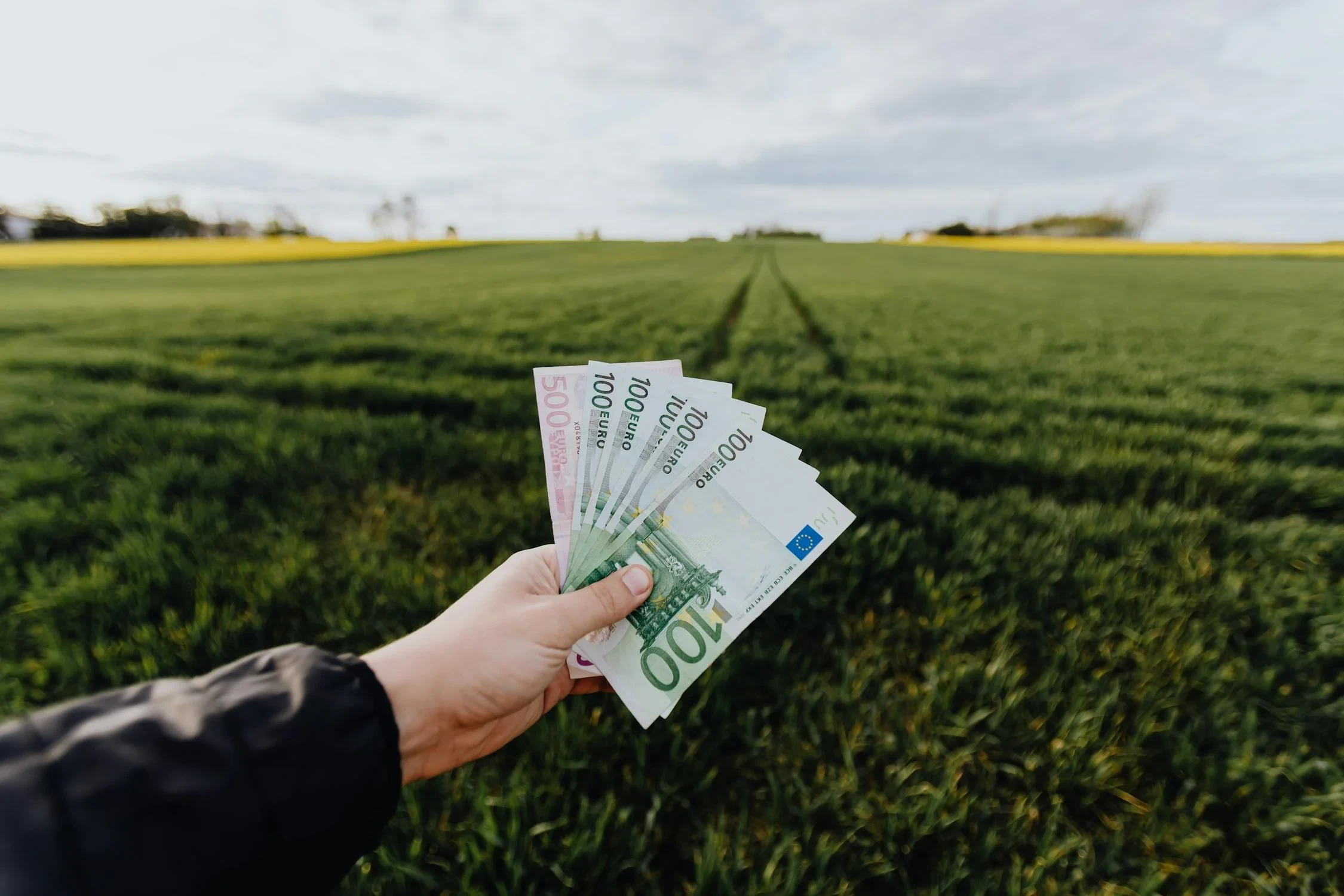 Een hand houdt een waaier van eurobiljetten vast (500 en 100 euro) boven een groen grasveld, met een weids landbouwlandschap en een bewolkte lucht op de achtergrond.